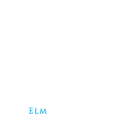 Blue Elm Photography Logo